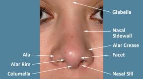 Rhinoplasty - Narrowing the Wide Nose 1