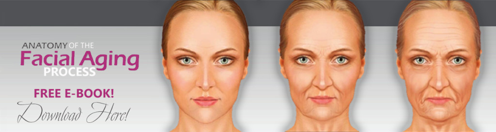 Anatomy Of The Facial Aging Process